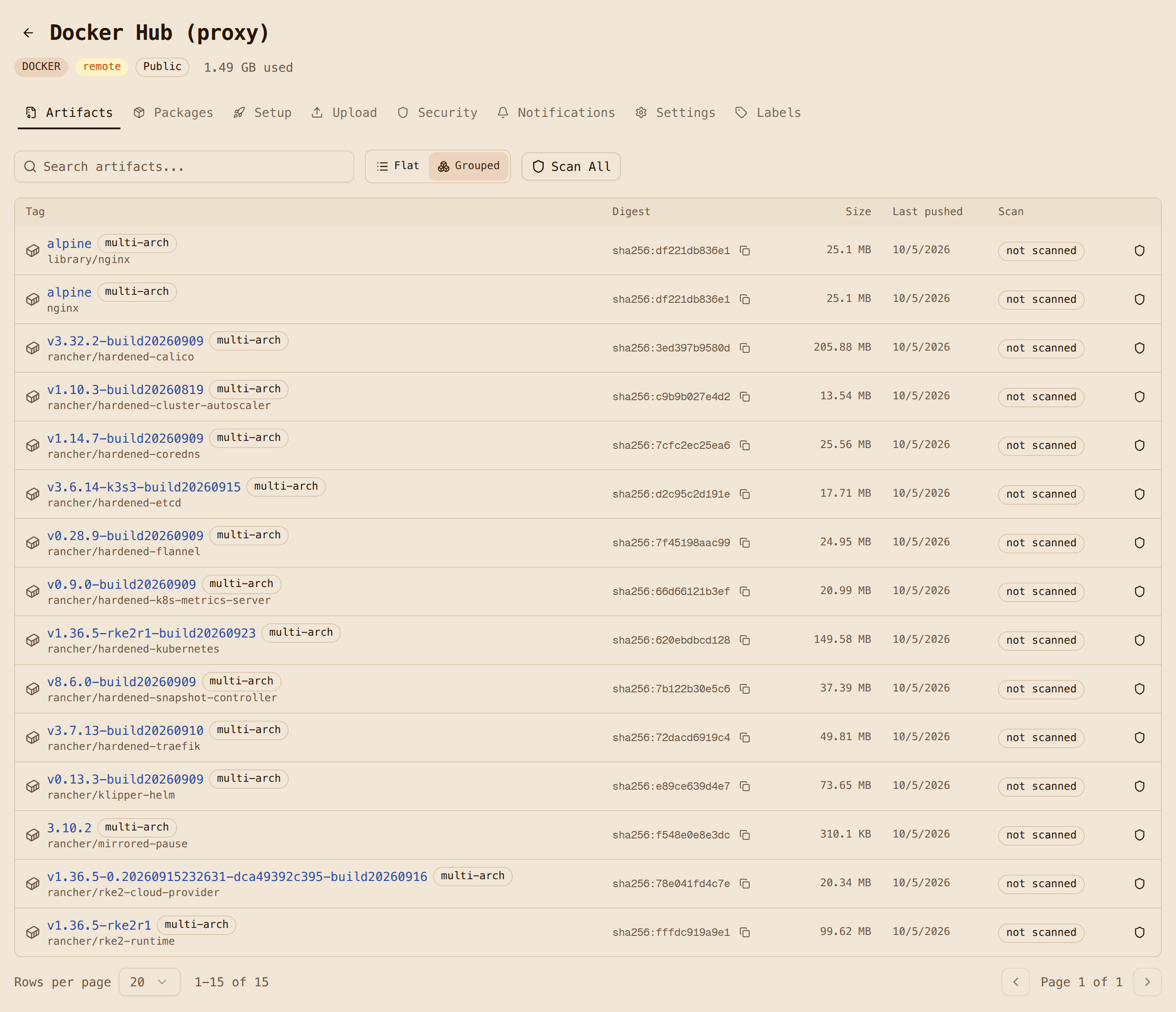 The oci-dockerhub-proxy repository showing nginx and every rancher RKE2 system image cached after the first boot